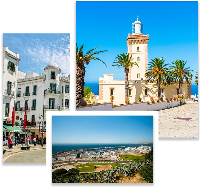 group-1000004484-3-69511d1d24a3d