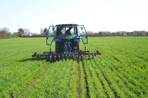 Modern Glass Building