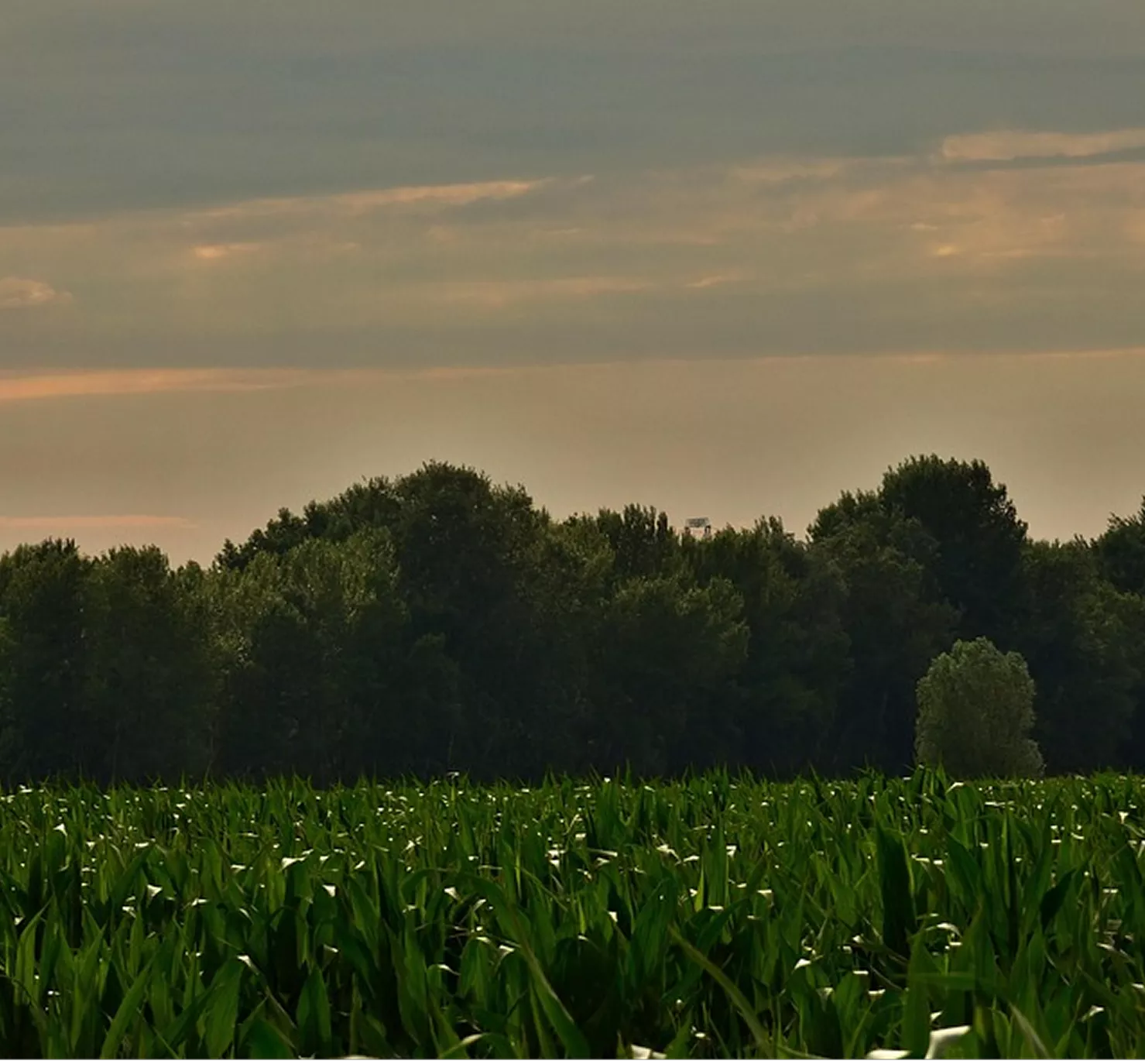 Agriculture and infrastructure
