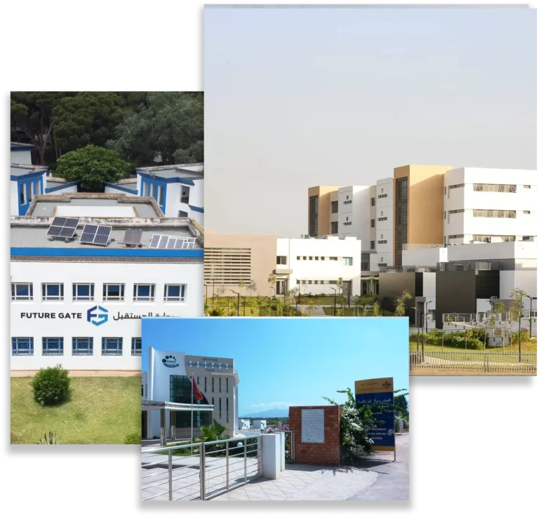 group-1000004488-69624ef7ebb06