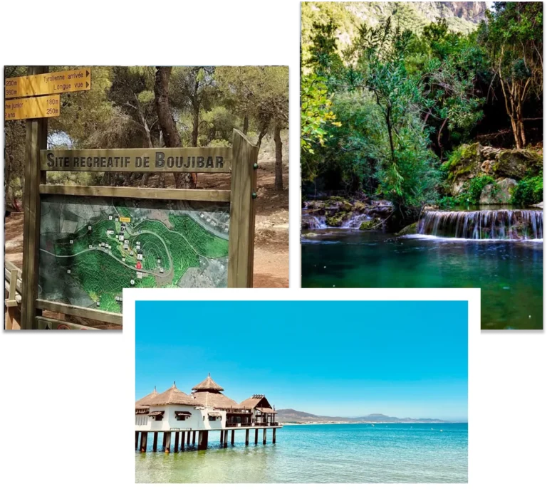 group-1000004529-69663625d1ee2