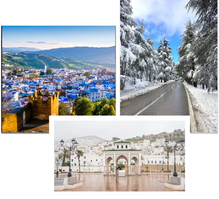 group-1000004533-696636219cb96