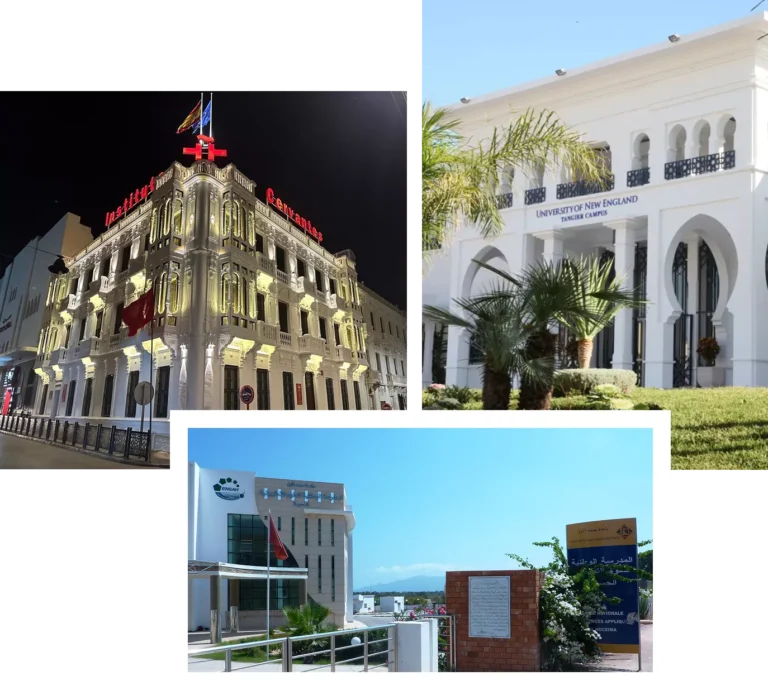 group-1000004537-6966361e85d7a